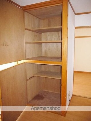 南原ハイツ[2DK/46.37m2]の収納