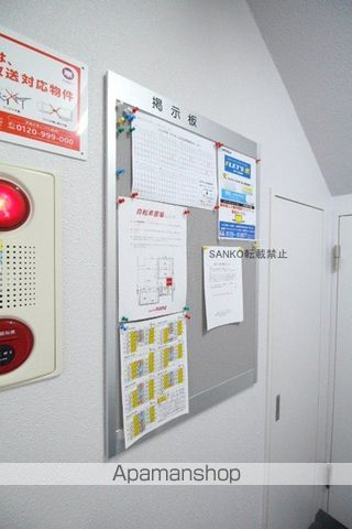 サウスナナのその他写真
