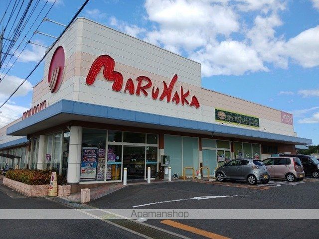 プリムラの周辺写真