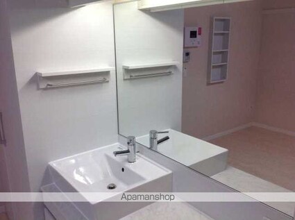 レオネクストカンフリエ[1R/38.06m2]の洗面所