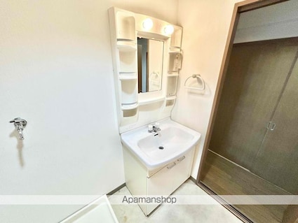 タイハイツ桜宮[3DK/52m2]の洗面所