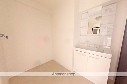 メゾン・アムール[2LDK/60.32m2]の洗面所