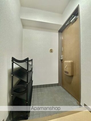月森大手町ビル[1R/30.53m2]の玄関