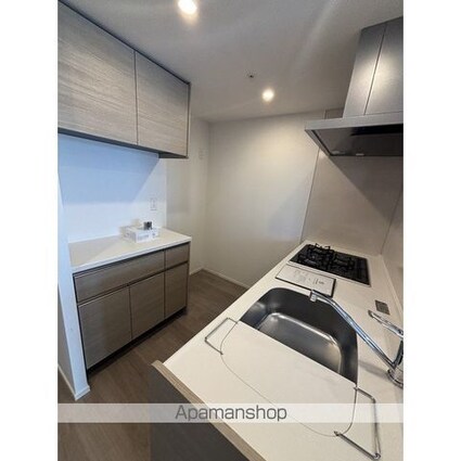 ザ・パークハビオ名古屋松原[1LDK/43.36m2]のキッチン1