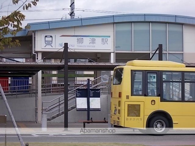 プルメリアの周辺写真
