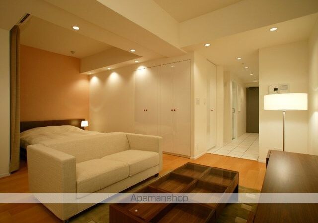 カスタリア銀座[1R/40.03m2]のリビング・居間8