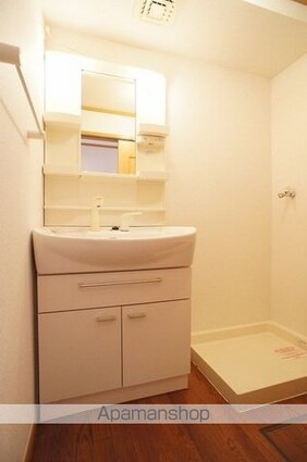 ル　シャトー　Ⅰ[1R/33.15m2]の洗面所