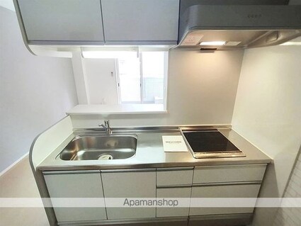 Ｃｈｅｒｒｙ　Ｃｏｕｒｔ[1LDK/43.74m2]のキッチン