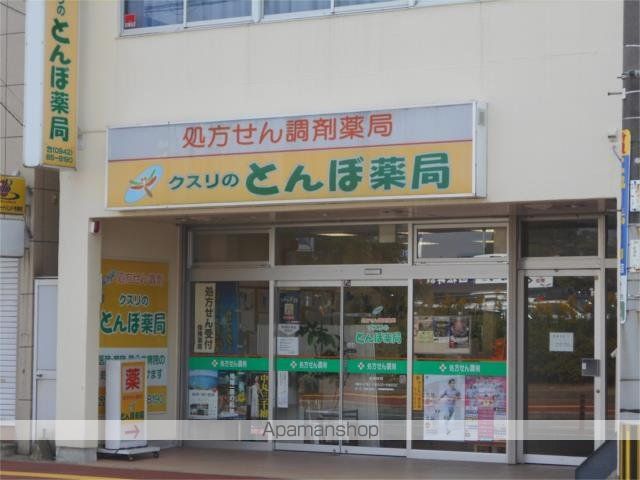 プルメリアの周辺写真