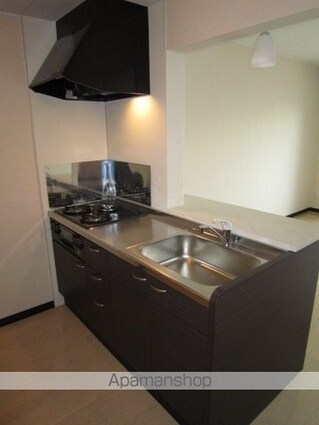 レオネクストジュネスⅦ[1K/31.05m2]のキッチン