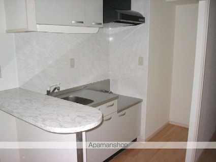 Ｓｏｕｔｈ　Ｖａｌｌｅｙ[1DK/32.55m2]のキッチン