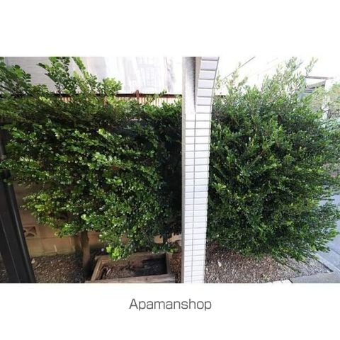 サンライズトーワの内装写真