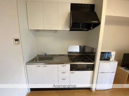 レオパレスはばたけⅡ[2DK/54.82m2]のキッチン