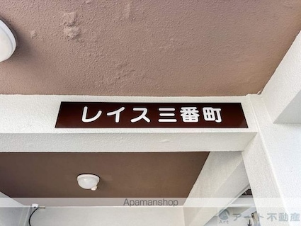 レイス三番町[1R/20.6m2]のエントランス5