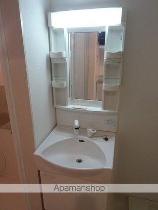 エクシア平成[1K/25.97m2]の洗面所