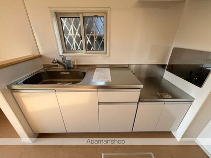 グリーン琥珀　Ⅱ[1LDK/43.1m2]のキッチン