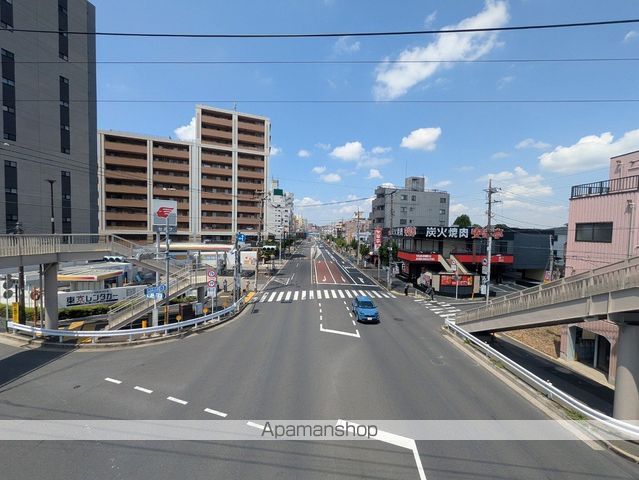 アプリコットの周辺写真