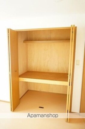 グレイス・フル・エンブレスＧⅡ[2DK/51.36m2]の収納