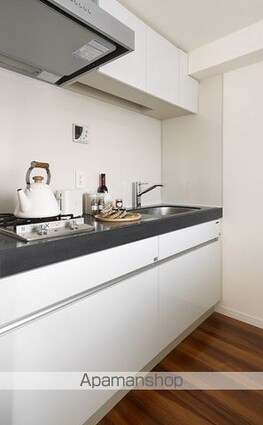 レジディア市谷薬王寺[1K/19.67m2]のキッチン