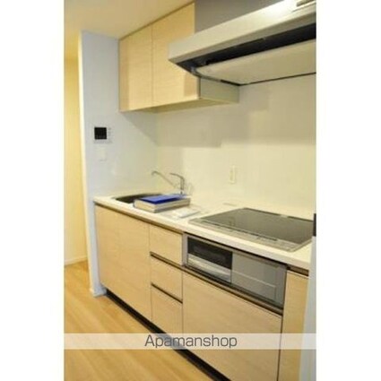 パークアクシス豊洲キャナル[1LDK/46.28m2]のキッチン