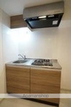 ＴＨＥ　ＰＡＬＭＳ大島[2K/35.34m2]のキッチン