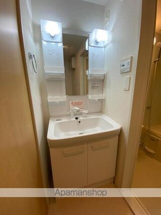 シャンテル[2LDK/56.68m2]の洗面所