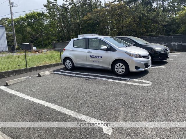 パイナリ今沢のその他写真