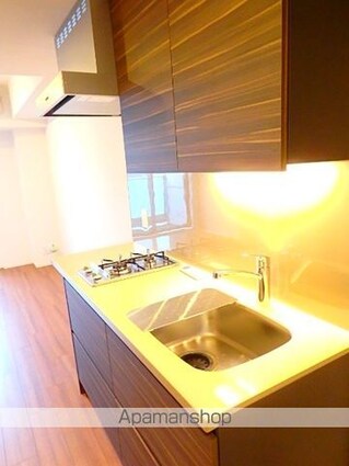 ザ・パークハビオ新宿[1K/25.17m2]のキッチン