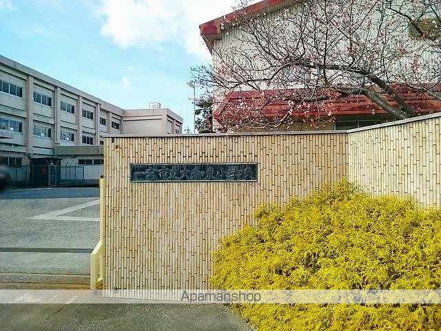 ノーベルメゾン セドレの周辺写真