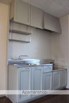 エーライン泉Ａ・Ｂ[2DK/40.92m2]のキッチン