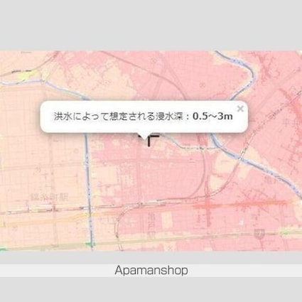 ＧＥＮＯＶＩＡ亀戸Ⅳｓｋｙｇａｒｄｅｎ[1K/25.52m2]の内装1