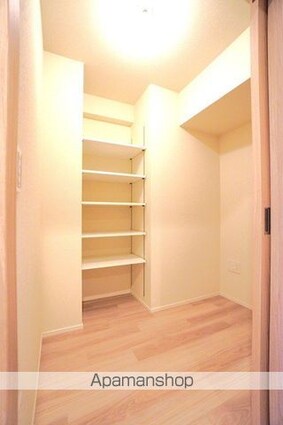 プレディアコート錦糸町スカイビュー[2SLDK/50.7m2]の収納