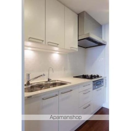 パークコート千代田富士見ザタワー[1LDK/42.51m2]のキッチン