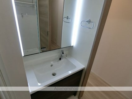 セレスティア柴又ＩＩＩ[2LDK/47.9m2]の洗面所