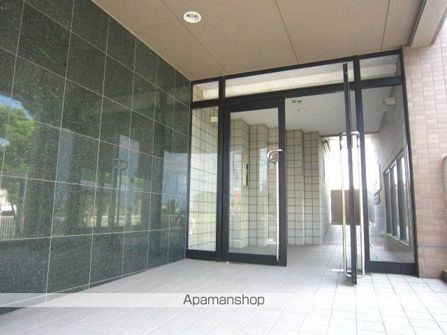 セルフィ・Tのその他写真