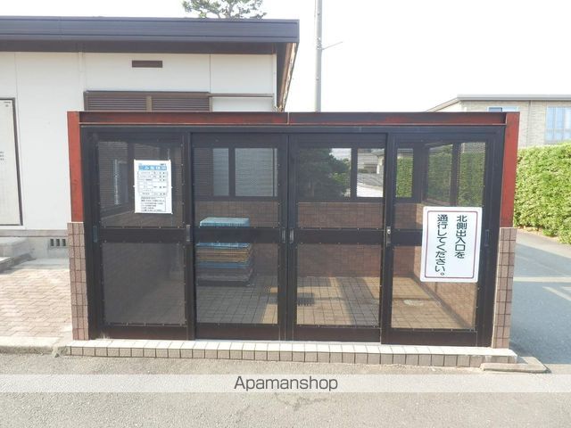 コスモスのその他写真