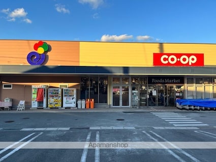 パソナⅤ・Ⅵ[3DK/56.16m2]の周辺4