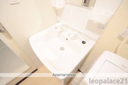 レオネクストブラウニー国立[1K/25.41m2]の洗面所2