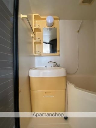 ラ・パルフェ・ド・コゼット[1R/21m2]の洗面所