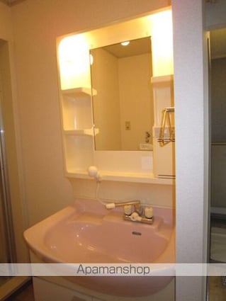 ヴィスタ桑田　Ｉ棟[2LDK/50.39m2]の洗面所