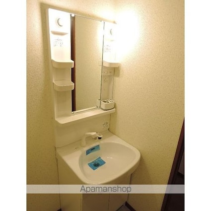 アムール　グリーン[1K/23.18m2]の洗面所