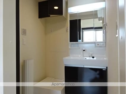 Ｓｔａｒ　Ｄｕｓｔ　Ｈｉｌｌｓ[2LDK/67.23m2]の洗面所