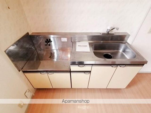 プレジールワカミヤ　Ａ棟[3DK/50.09m2]のキッチン