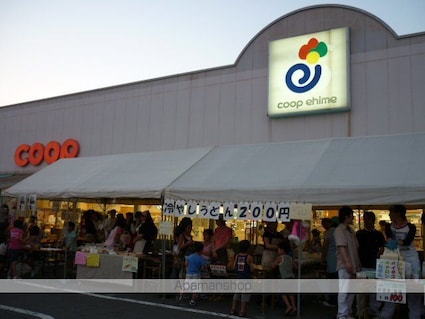 メゾンドファース南久米[1K/24.3m2]の共用部1