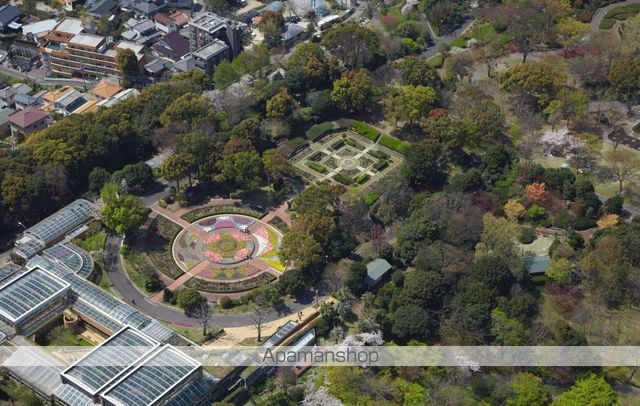 ダブルーンVIII桜坂の周辺写真