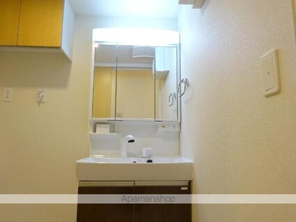 東京都あきる野市伊奈[1LDK/49.86m2]の洗面所