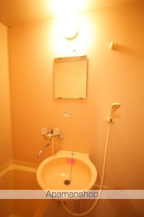 ハイムフォーレスト[1R/19.95m2]の洗面所