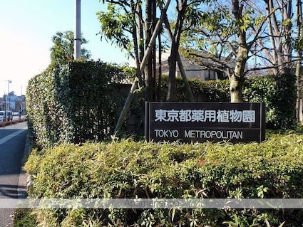東京都東大和市向原６丁目[1K/19.44m2]の周辺8