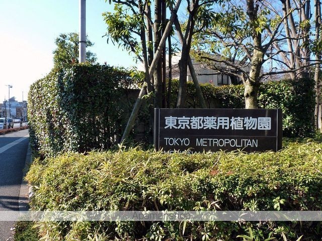 東京都東大和市向原６丁目[1K/19.44m2]の周辺8