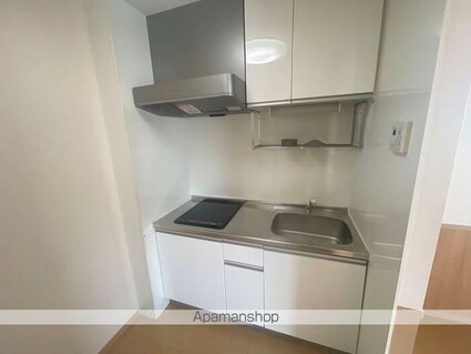 和歌山県和歌山市中島[1R/32.8m2]のキッチン